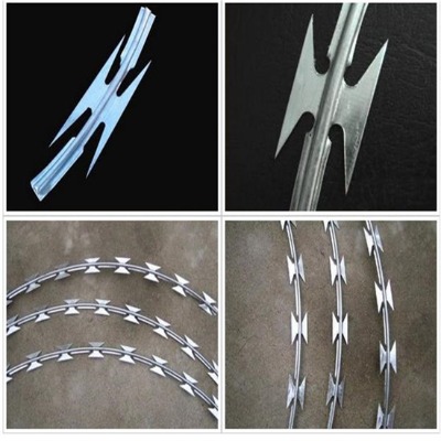 �����̽z�L�\�S�ҹ����������������o���������o�W