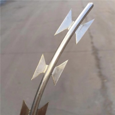 ��(l��)���������I�LͲ�̵�䓾W(w��ng)�������̽z�L�\