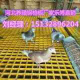 ��h�B����䓸���������䓘���w��S�����a