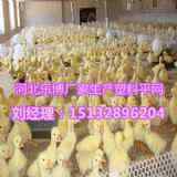 ɽ�|�B(y��ng)ֳ�������ϾW(w��ng)����ϯ��˼���|�W(w��ng)�S�Ҙ���