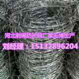 ���C����\�F�z�W�m��14x14�д��F�z�W�S�ҬF؛