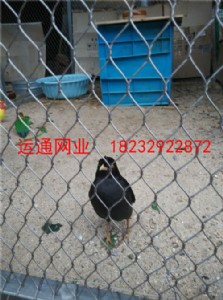 �B�᲻�P䓾W���B�@���P䓇��ھW