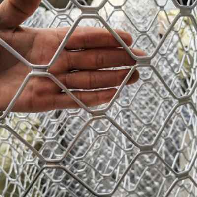 5���׺�7���׿׿����X����W(w��ng)1-2�׌��X�Ͻ���I�W(w��ng)