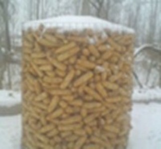 �Z�}�F�z�W�ֽ�Ȧ����܈���W����0.8-2m