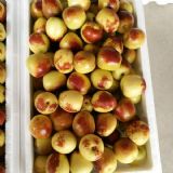 �������h�������l(f��)�r(ji��)����h�����a(ch��n)�؃r(ji��)��