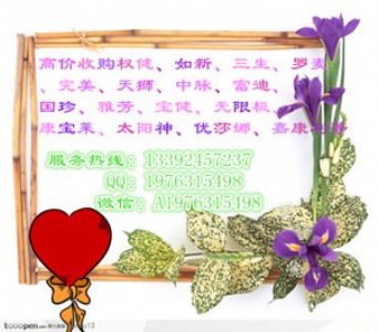 ����˾�߃r��ُ�ཡ�aƷ