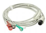 �������늌���