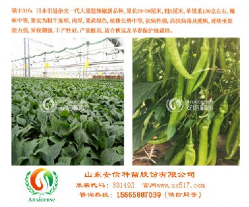 �Ĵ����������l  ���ŷN��20�����罛�  ��ȫ����