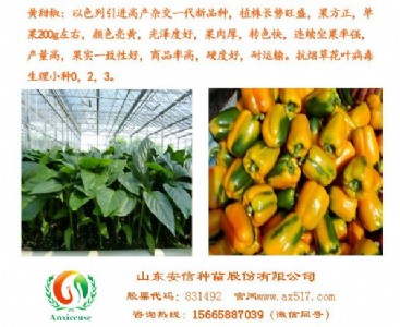 �ӱ������ُ�xʲôƷ�N�������ŷN����һ��!