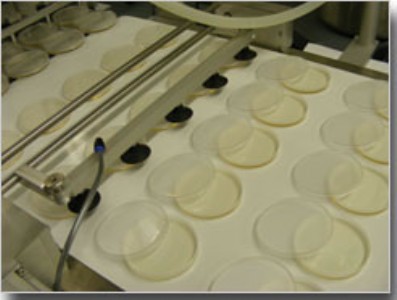 �I�Bƽ�����B�����b�C