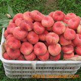 ���ë��Үa�����l(f��)������Үa�����l(f��)�r��