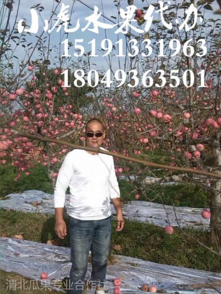 ����h��������ŹϹ�����