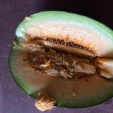 ��������۹��ܹϮa�؃r������