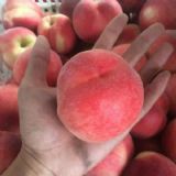 �������ë�ң�����ë�ң�ͻ��ë�Ҵ������Ѓr(ji��)��