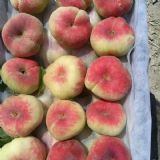 ��������������ң�ë������l(f��)�r��