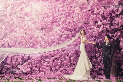 ��������ʿ�Ļ鼆������x�Y��