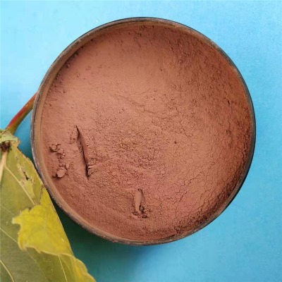 �͵͜�΢������N�͵͜؅������͵͜غ��������_���ԏ���ֳ��