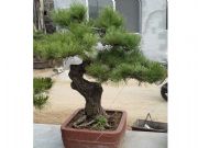 ���K�����辰����ã��J(r��n)��(zh��n)�Rʏ����