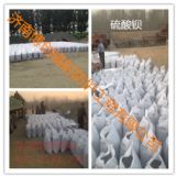 �����^�����X ��(j��)�ό�(sh��)�ݵ������^���S��ֱ�N��