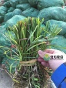 ���������ݡ�ί��ˡ�Ұţ�ݡ�����̦�ݡ����x�������G