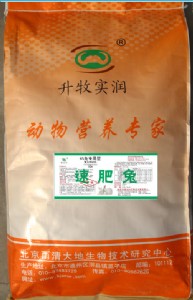 4�����A(y��)����