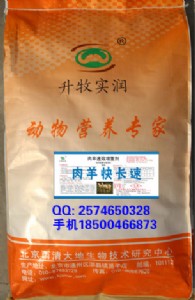 ������������ڴ߷��A����������L��