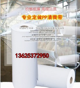 ���u���Ԅ���S��