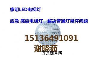 �������� LED��ݟ�����������