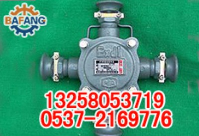 BHD2-100/2T�V�õ͉���|�Ӿ���