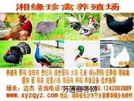 �h�ۿhҰ�u|�����u|���u|�F���u|�G�����u|��ȸ|�G�^Ұ��|