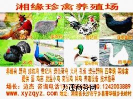 ���Ұ�u���˳������u���h�����u���F���u�����u