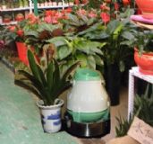 ���@ʽ�x�ļӝ������a�������x�ļӝ����N��