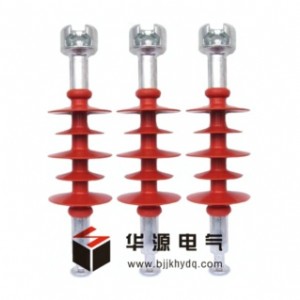 ���� ���� FXBW-10KV/100�ͺϑ�ʽ�^���� �r��