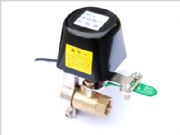 �ܵ��Cе��/ȼ��Cе��/ȼ��늄��y�T(�D)