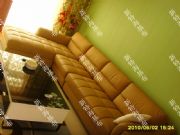 ���غ�����|���w�ڲ�|ֲ�q�������ڲ�