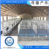 ����ߴ��a�Й� ĸ�i�a��