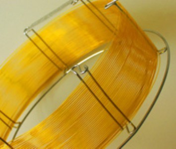 ���݂�ë������