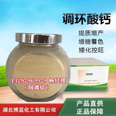 15%�{�h���}�ɝ��Էۄ��{�������a�S��