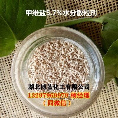 �׾S�}���x�����a(ch��n)�S��