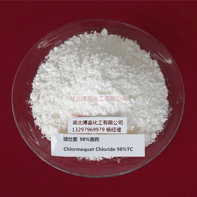 �����ؿ����Է����a�S�ҹ�����