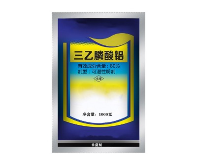 ��������X���������a�S��