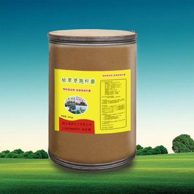 �ݲ�ѿ�ߗU�����������a�S��