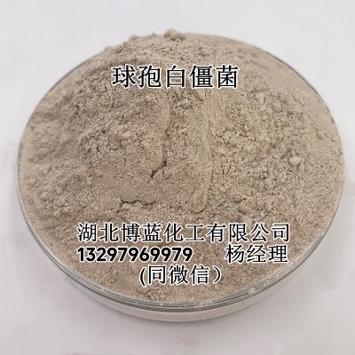 �׽��������߰׽��������x�����a�S�҃r��