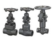 �M(j��n)�ڳв庸�䓽�ֹ�y