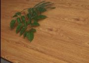 ɽ�|�h(hu��n)��ľ�ذ���� ���ʵذ�(�D)