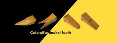 ����ɭ�D�Cе���޹�˾