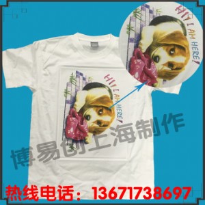 ���ׄ�T����ӡ�C �ļ����I�Ŀ֮��