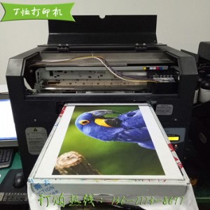 t�����aֱӡ�C �h��ȫ�޷��bӡ���C t���f�ܴ�ӡ�C