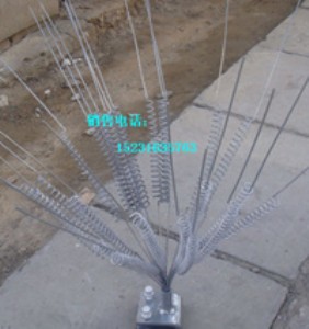 ���B�̣����a�S�ң����B�̃r��