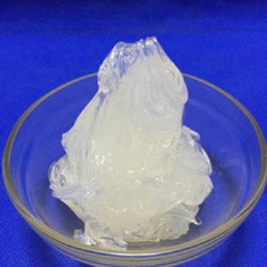 ��ճ������֬ ������